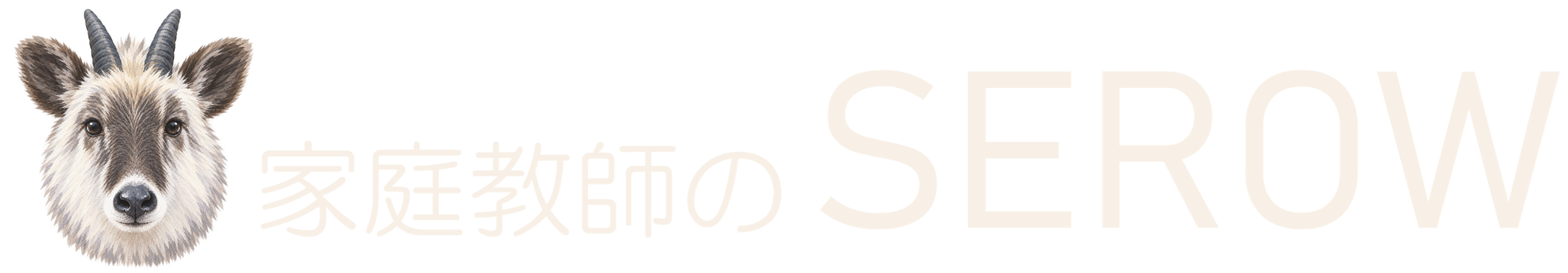 IB・総合型選抜の家庭教師 SEROW